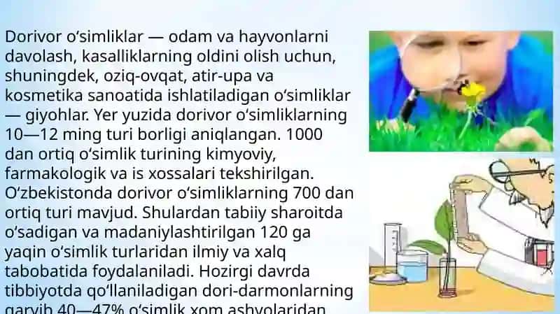 Dorivor O‘simliklar 3
