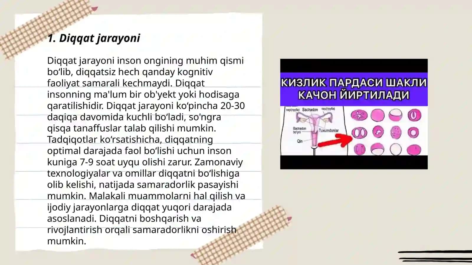 Bilish va psixik jarayonlar 3