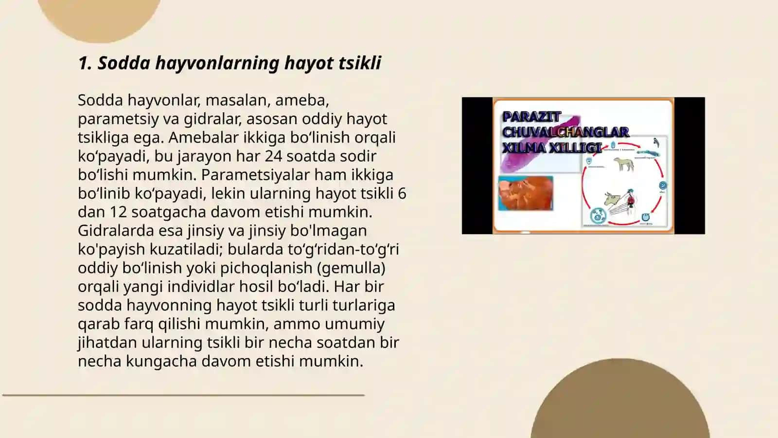 Sodda hayvonlar (odam parazitlari) 3