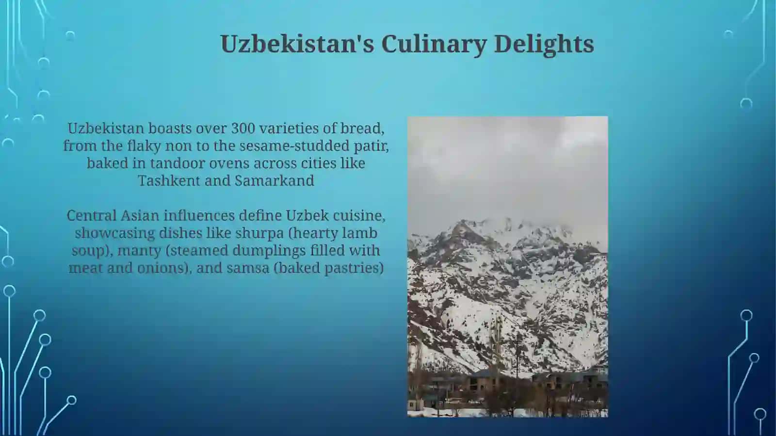 Uzbekistan's Culinary Delights 3