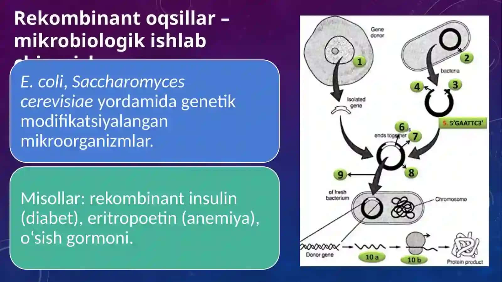 Gen injineriyasi va gipertermiya turlari 3