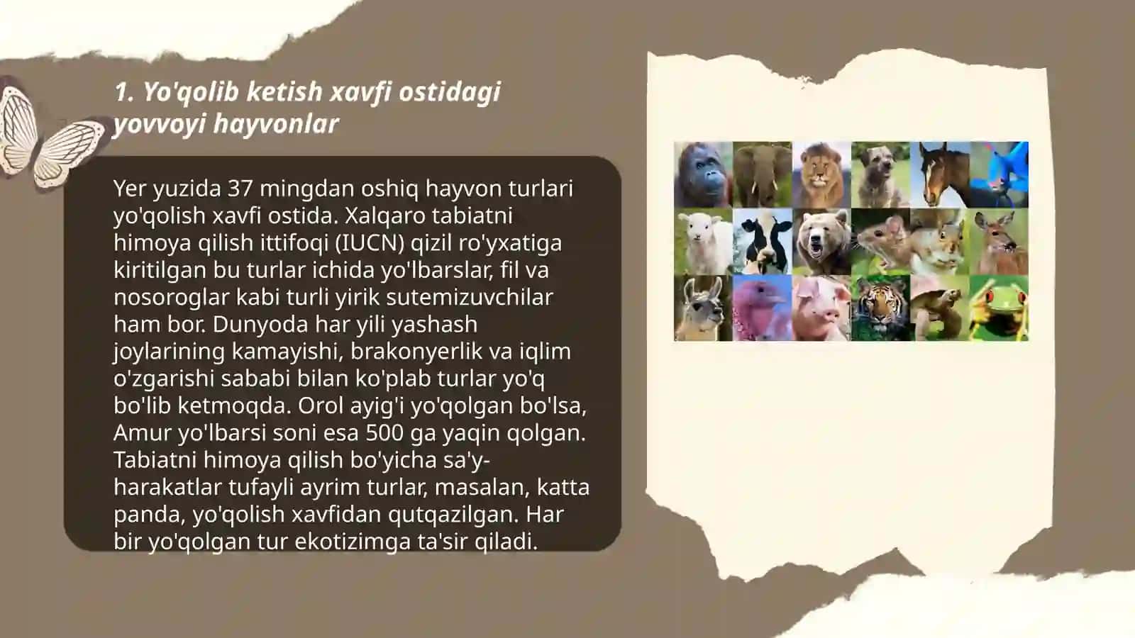Yovvoyi hayvonlar 3