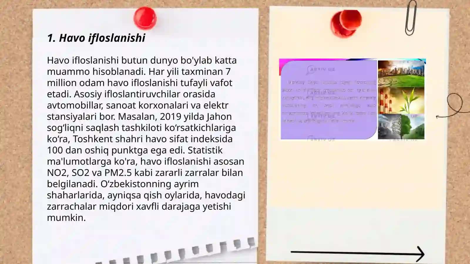 Ekoligik muammolar 3