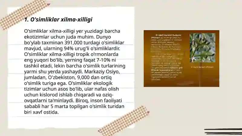 O'zbekistonning o'simlik to'plami 3