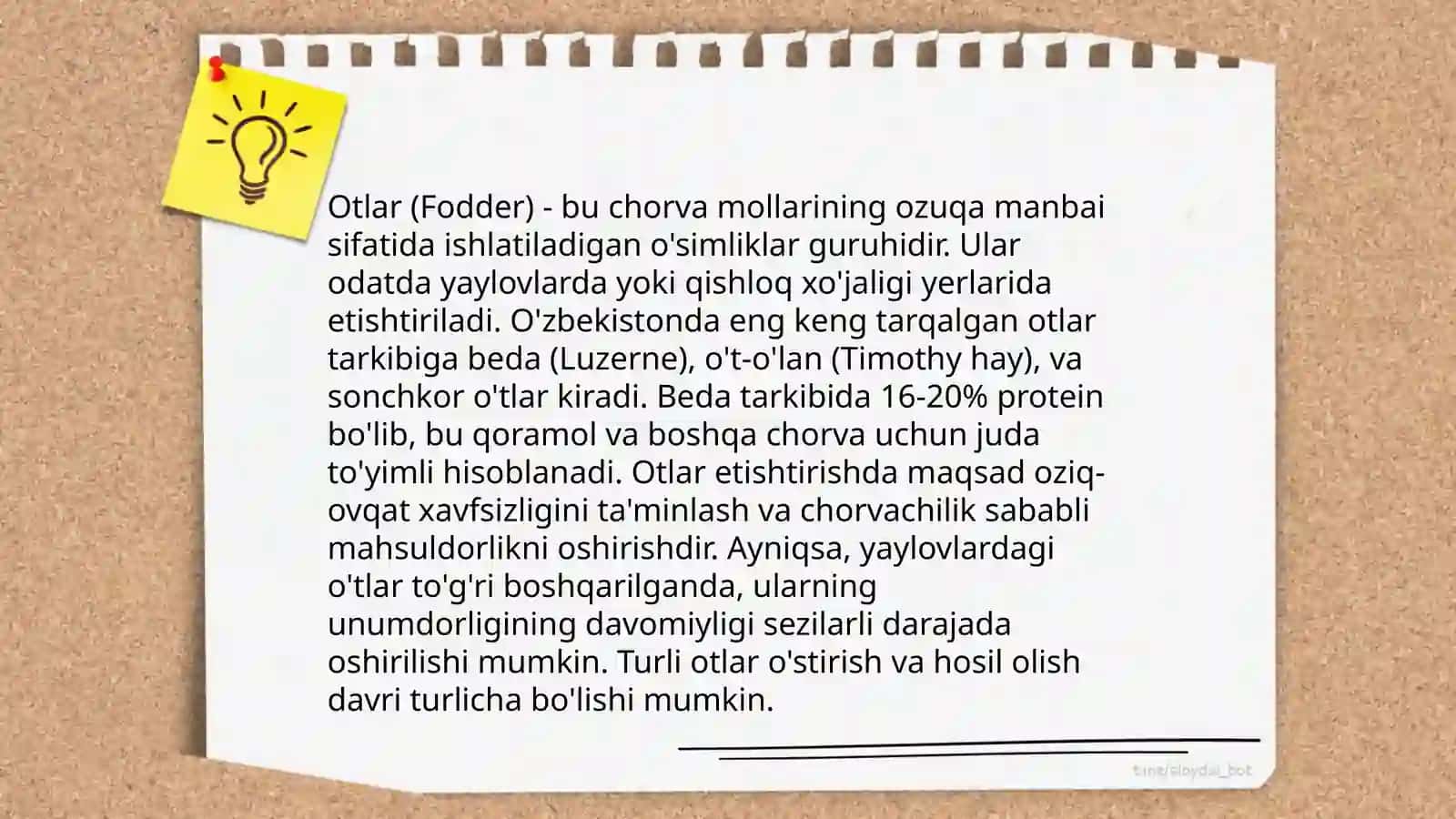 Mustaqil soʻz turkumlari 3