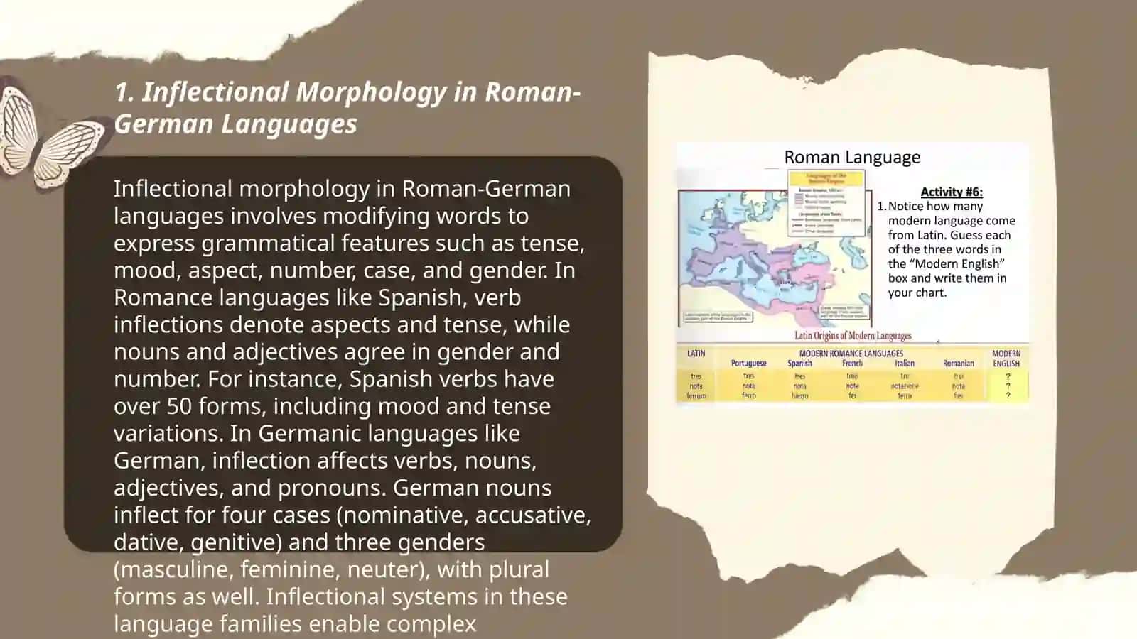 Plan: Inflectional Morphology in Roman-German Languages 3