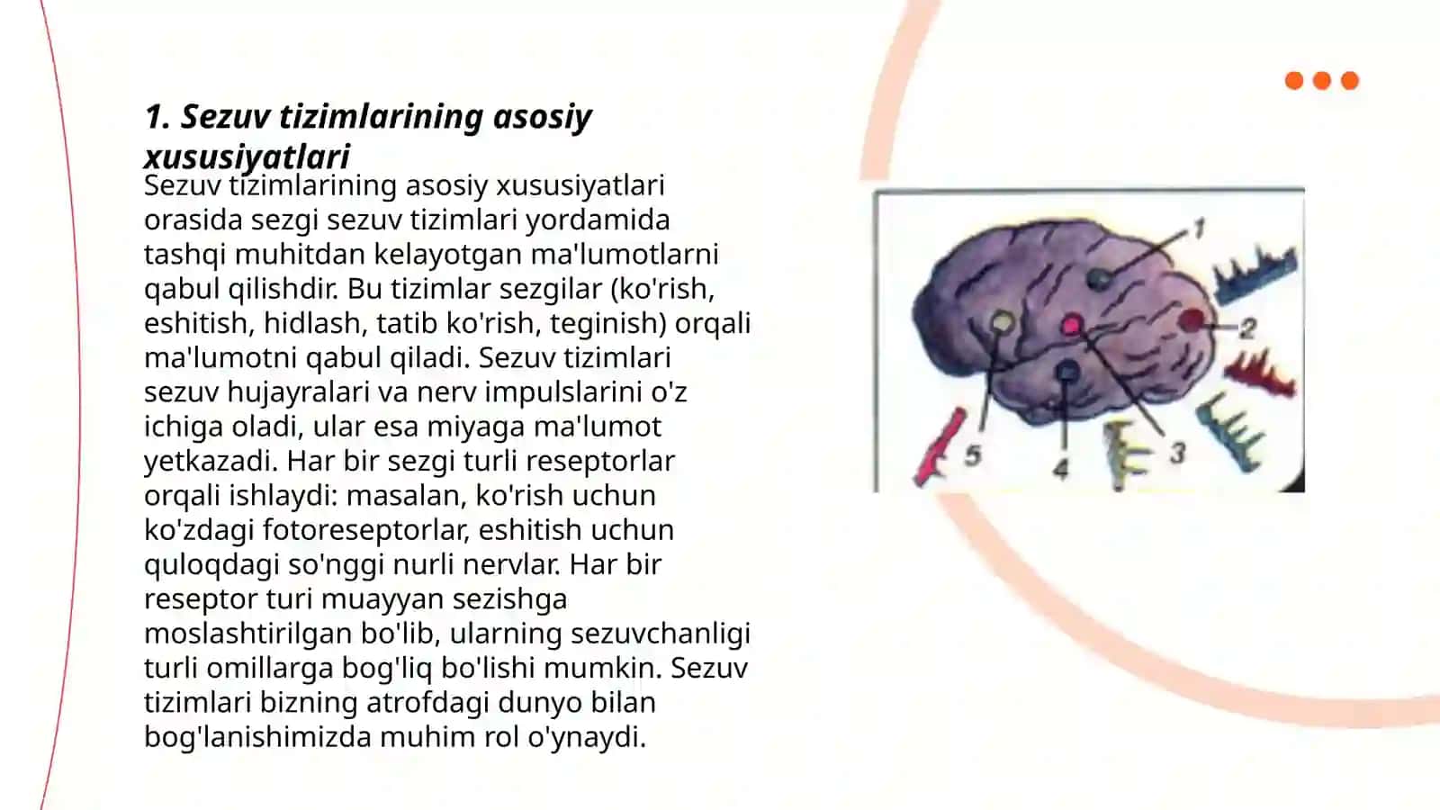 Sezuv va Harakat O'tkazuv Yo'llari 3