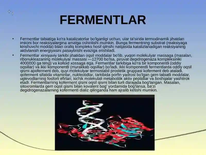 Fermentlar va oqsillar 3
