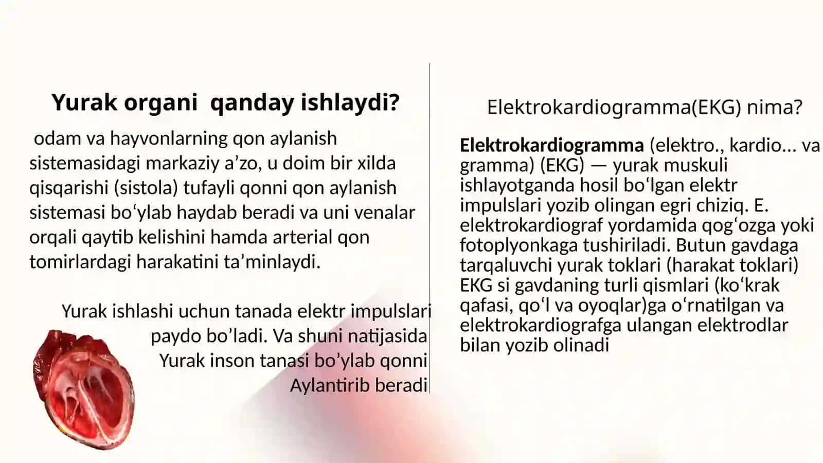 Yurak qon tomir kasalliklari 3