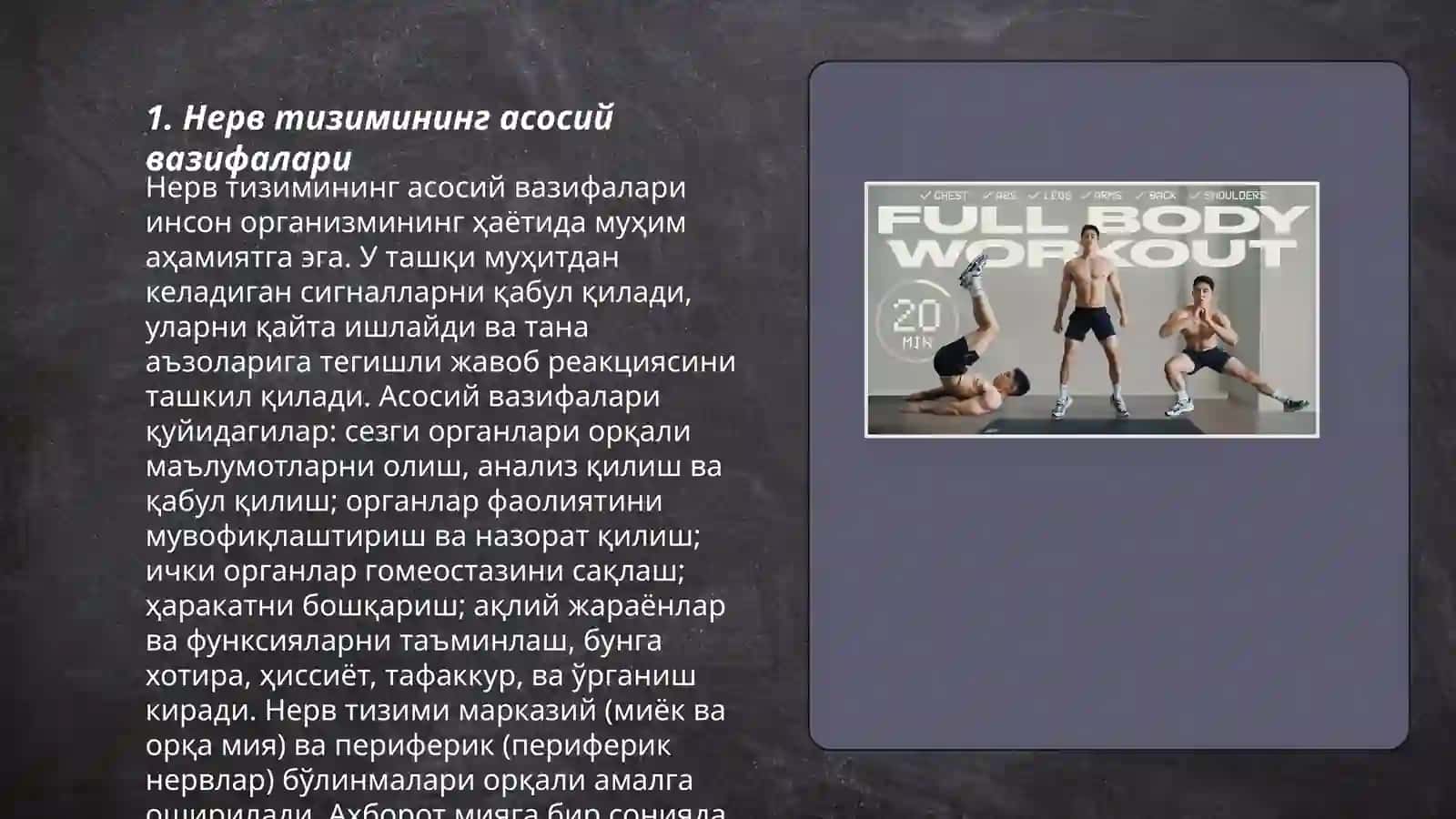 Нерв мушак тизими ҳақида маълумот 3