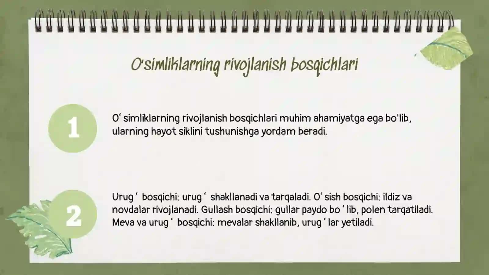 Oʻsimlik rivojlanishining xilma-xilligi 3
