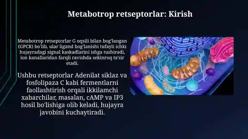 Metabotrop retseptorlar 3