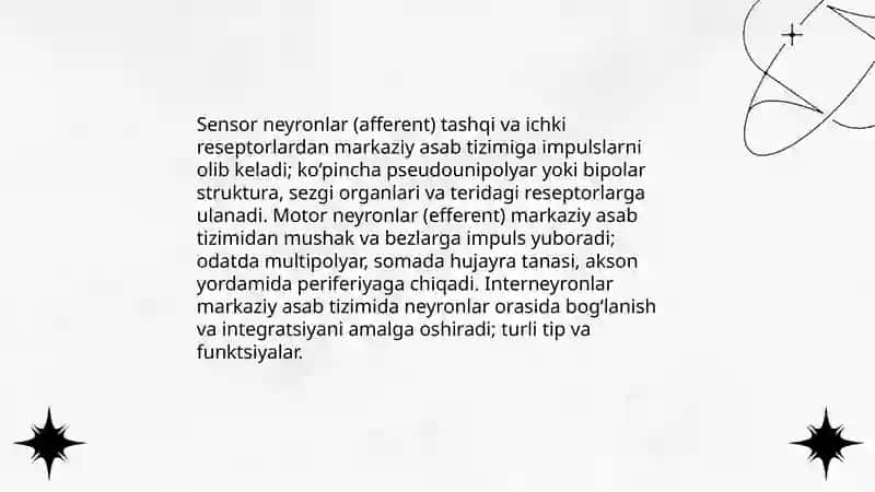 Nerv toqimasining tarkibi va hujayralari 3