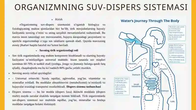 Organizmning suv-dispers sistemasi 3