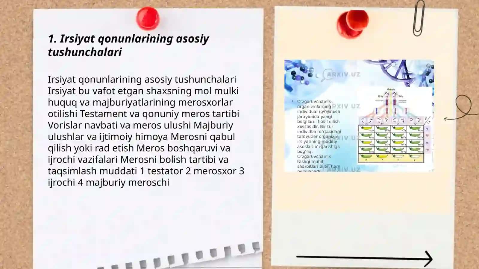 Irsiyat qonunlari 3