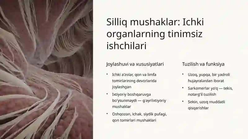 Mushaklar turlari 3