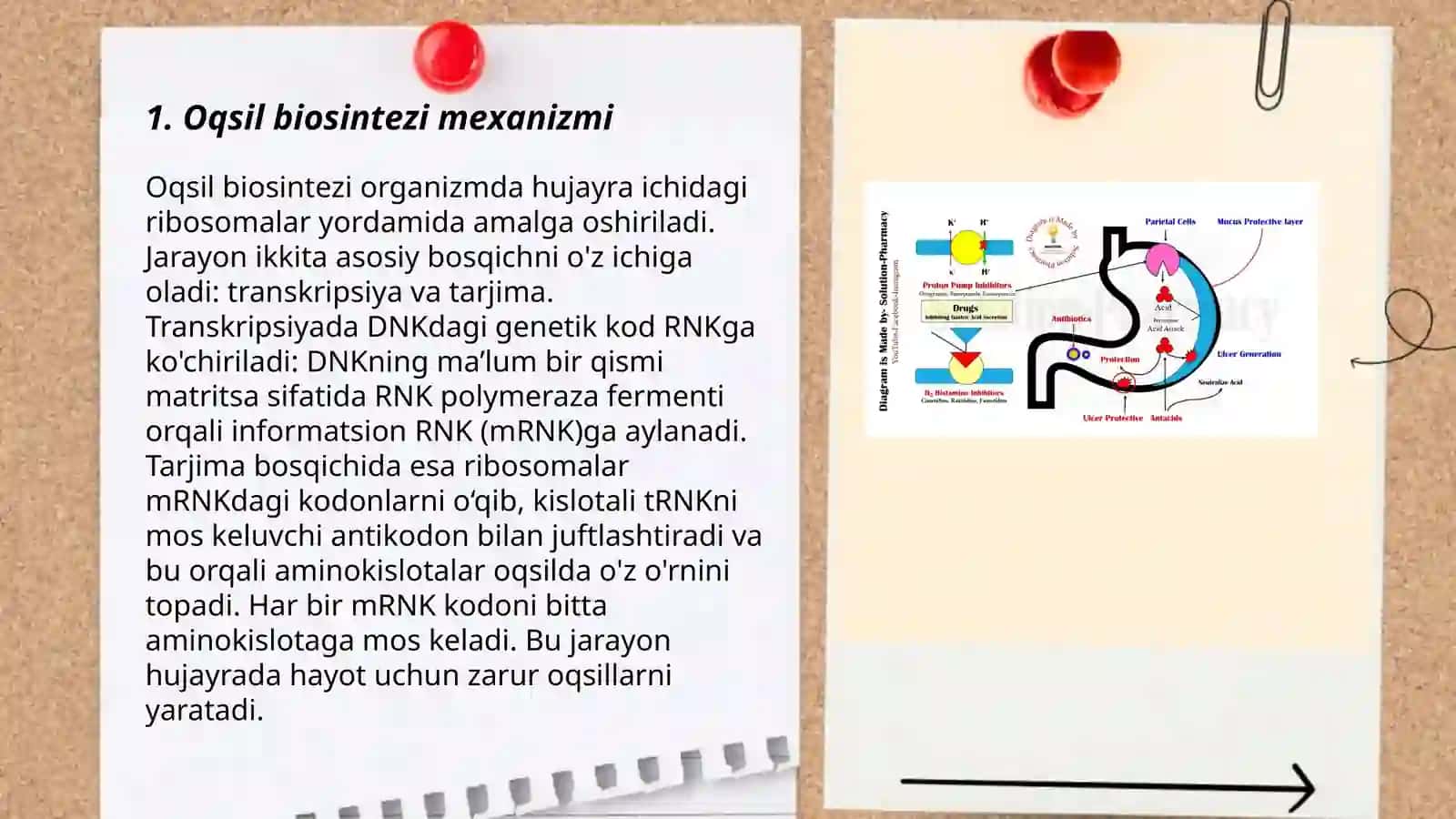 Oqsil biosintezi ingibitorlari 3