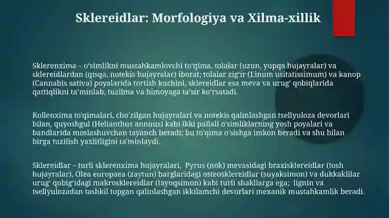 Sklerenxima va kollenxima 3