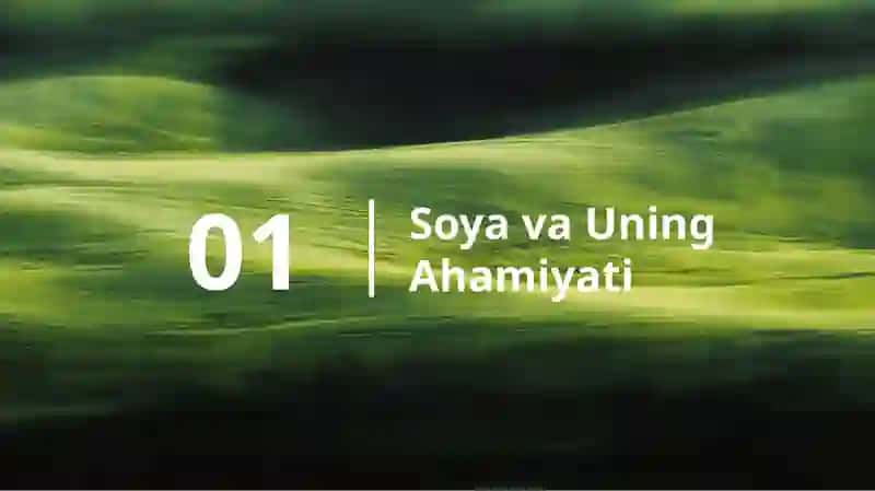 Soya oʻsimligi oziqlantirish 3