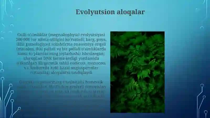 Oʻsimlik organlarini taqqoslash 3