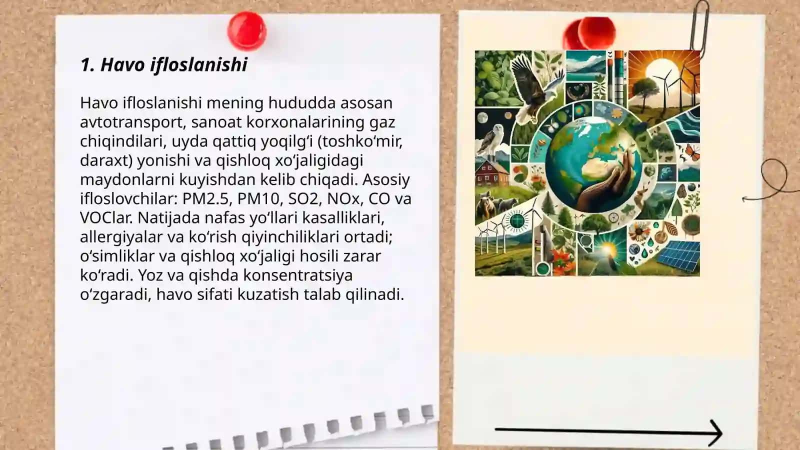Mening yashash hududimdagi ekologik muammolar 3