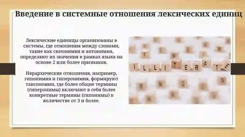 Системные отношения лексическихединиц 3