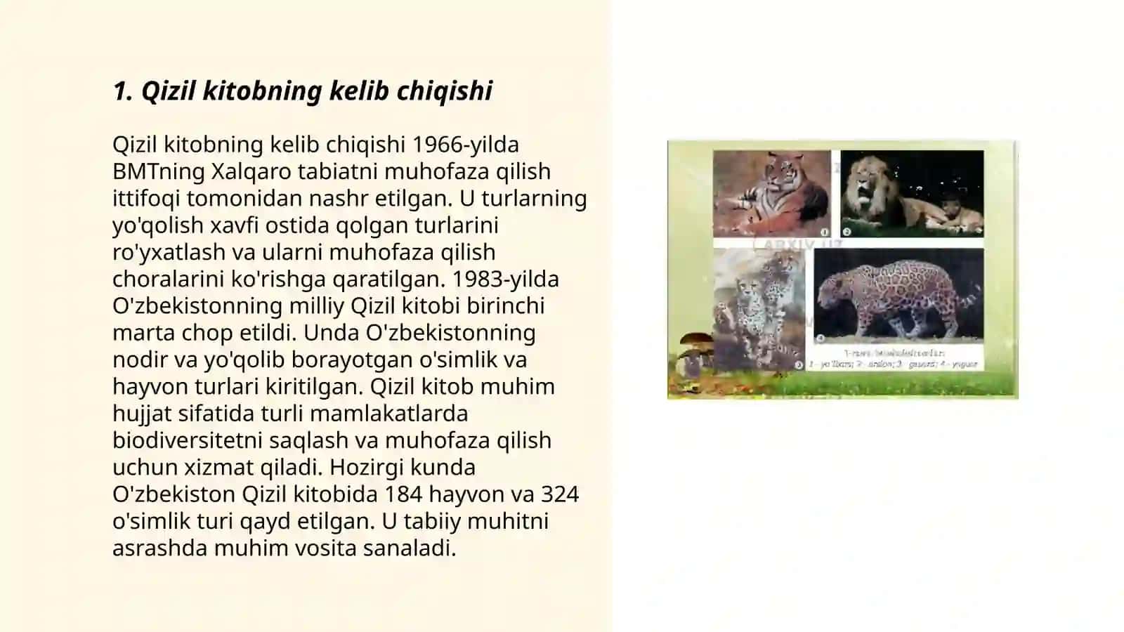 Qizil kitob va uning ahamiyati 3