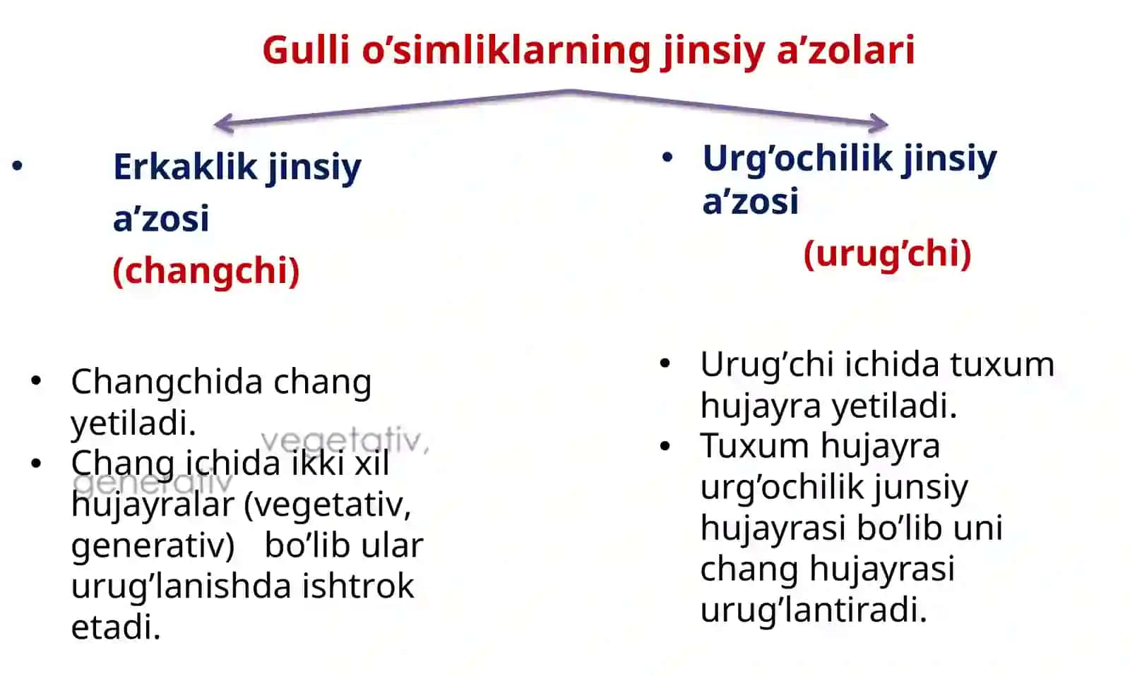 GENERATIV ORGANLAR (GUL) 3