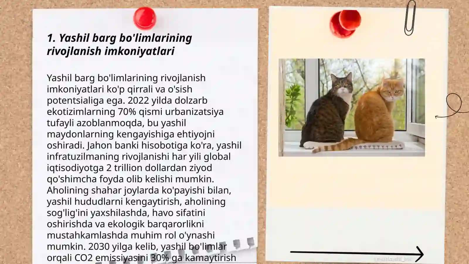 Yashil Barglar Rivojlanishi 3
