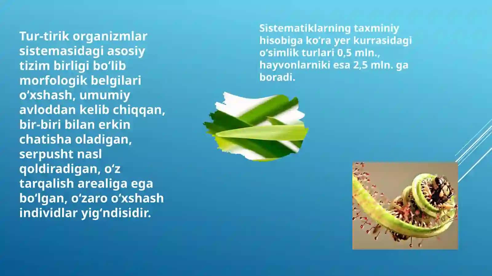 Tur-Tirik Organizmalar Tizimati 3