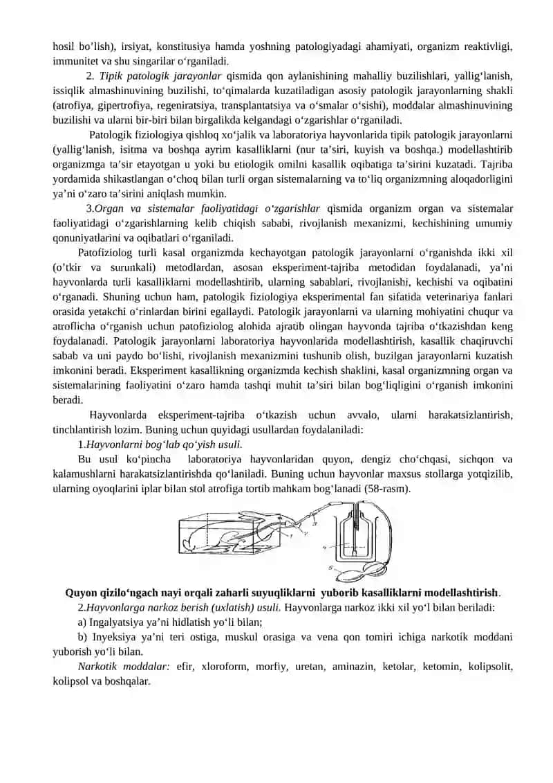 Eksperiment va uning patofiziologiyadagi ahamiyati 3
