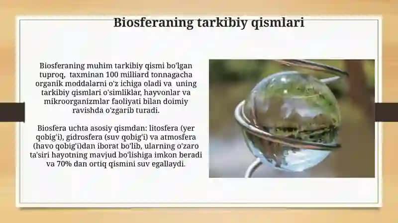 Biosfera va uning asosiy funksiyalari 3