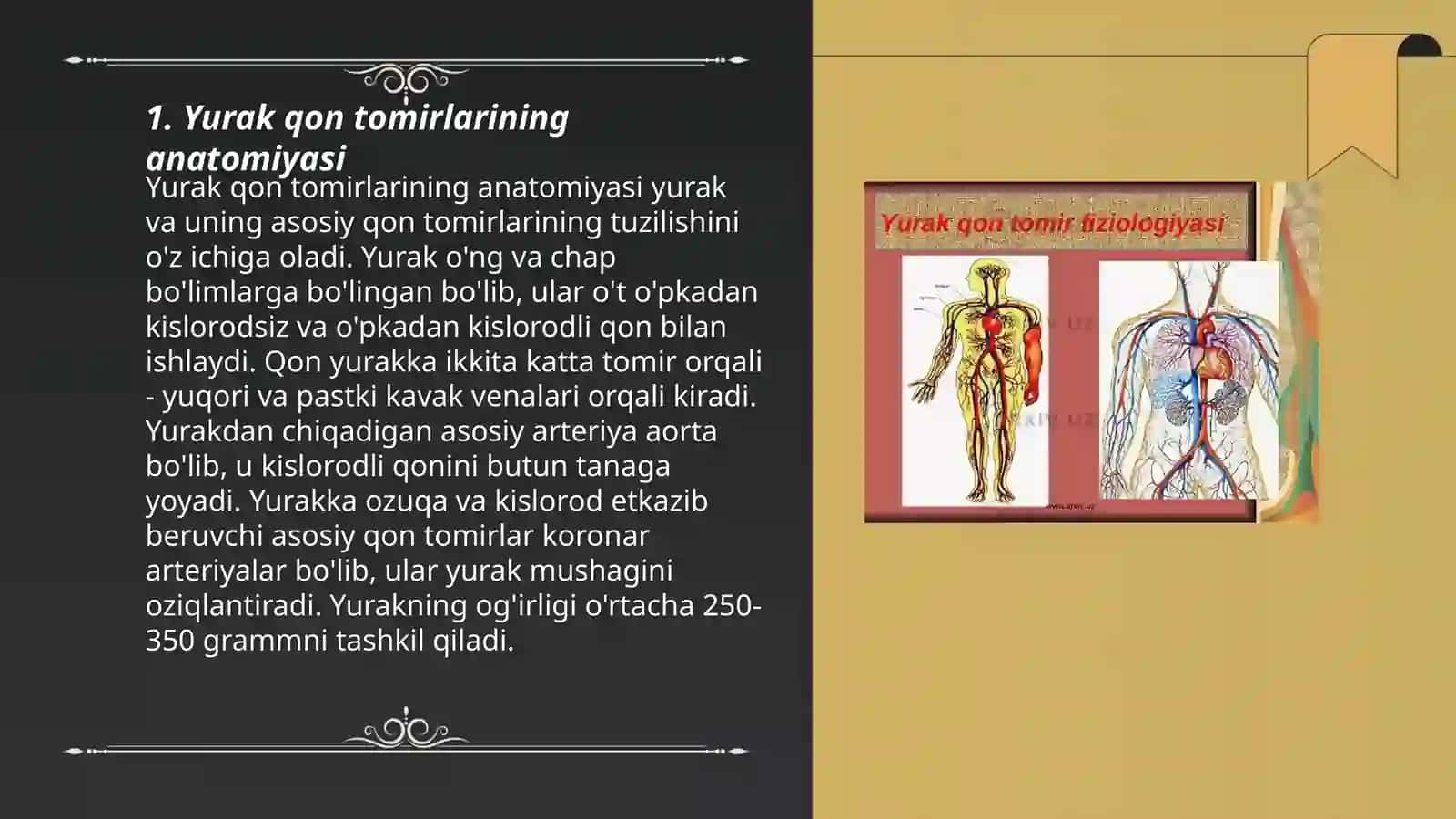 Yurak qon tomirlari 3