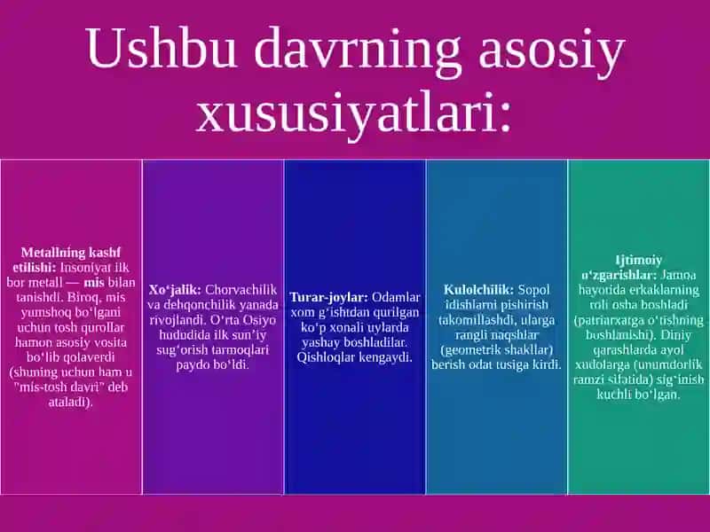 ENEOLIT VA BRONZA DAVRLARI 3