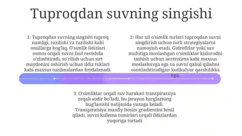 Turli Ekologik Guruh O'Simliklarida Suv Almashinuvi 3