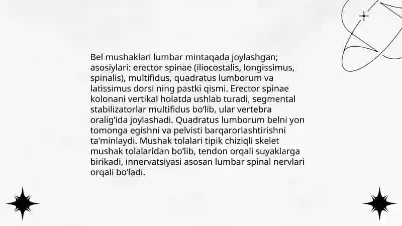 Bel muskullari haqida 3