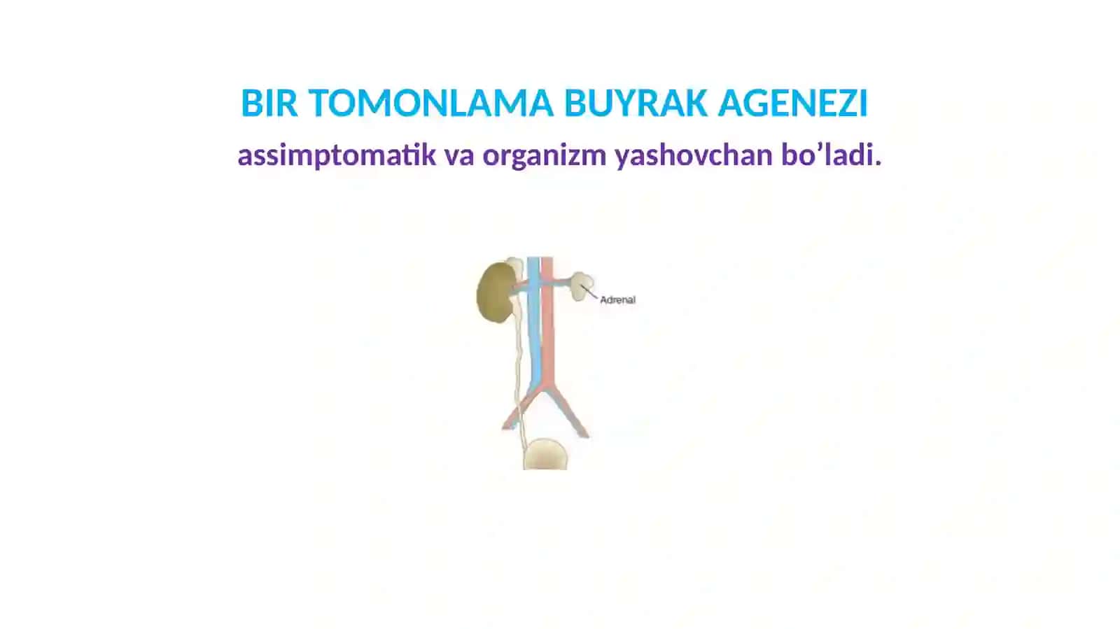 BUYRAK VA SIYDIK YO’LLARI KASALLIKLARI 3