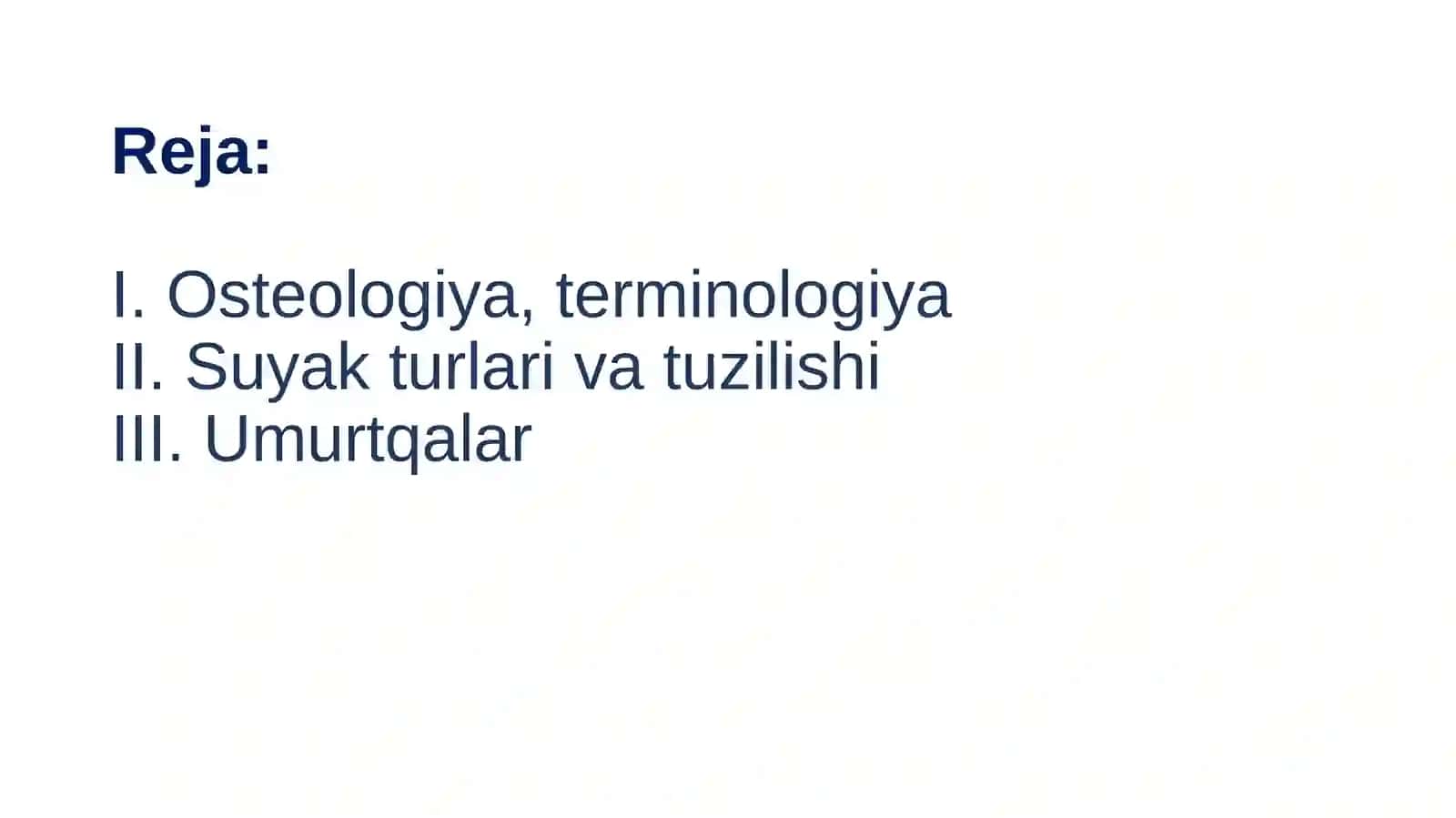 Osteologiya, umurtqa po'g'onasi 3