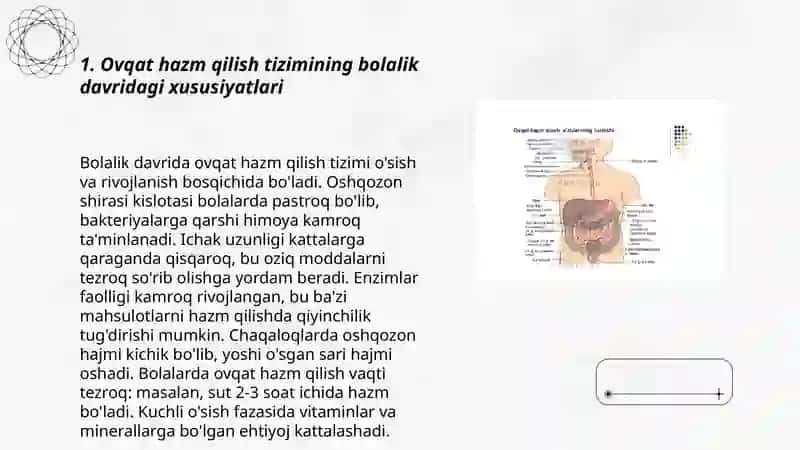 Ovqat hazm qilish tizimi 3