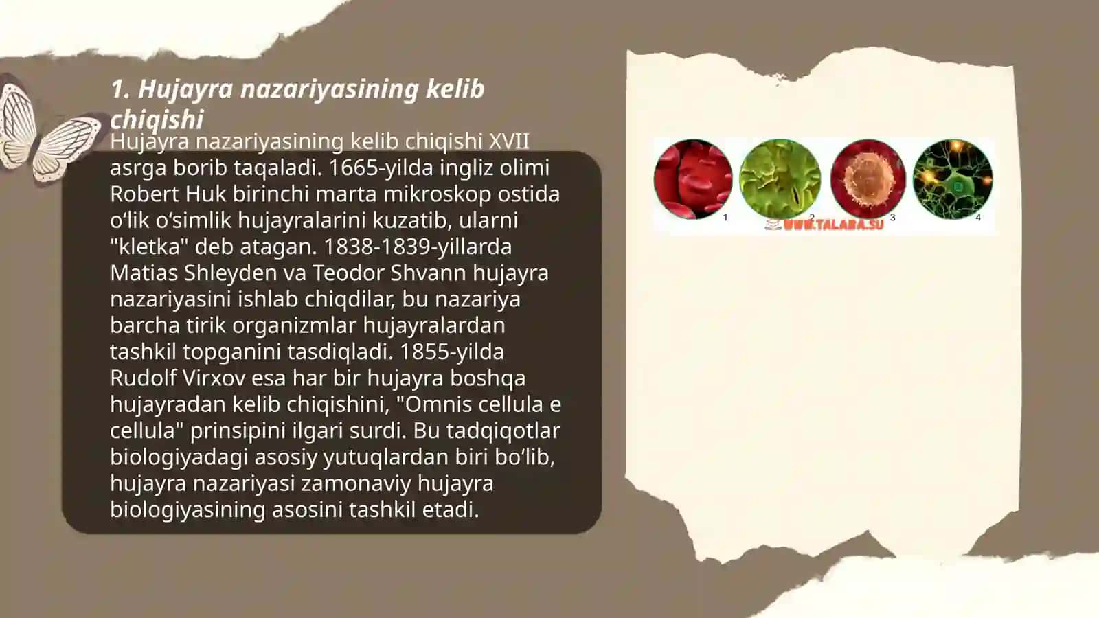 Hujayra nazariyasining yaratilish tarixi 3