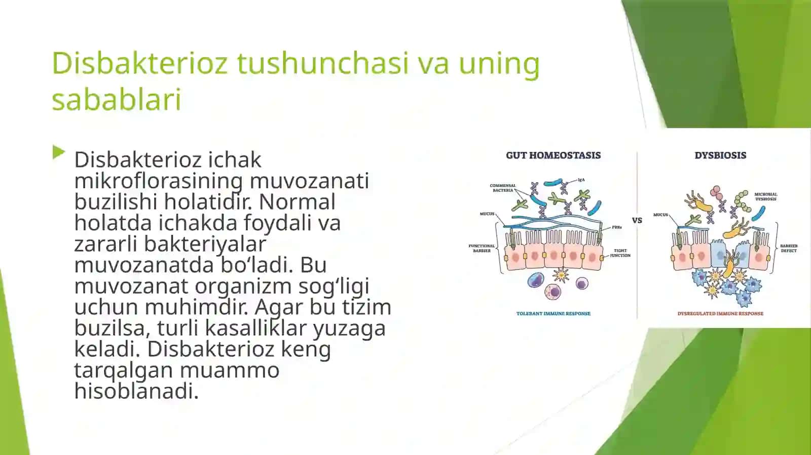 Disbakterioz tushunchasi va uning sabablari 3
