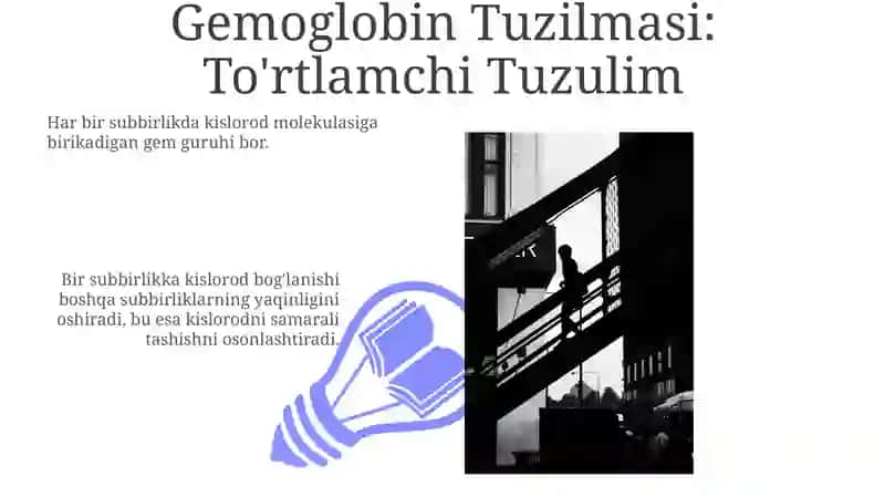 Gemoglobin Tuzilmasi 3