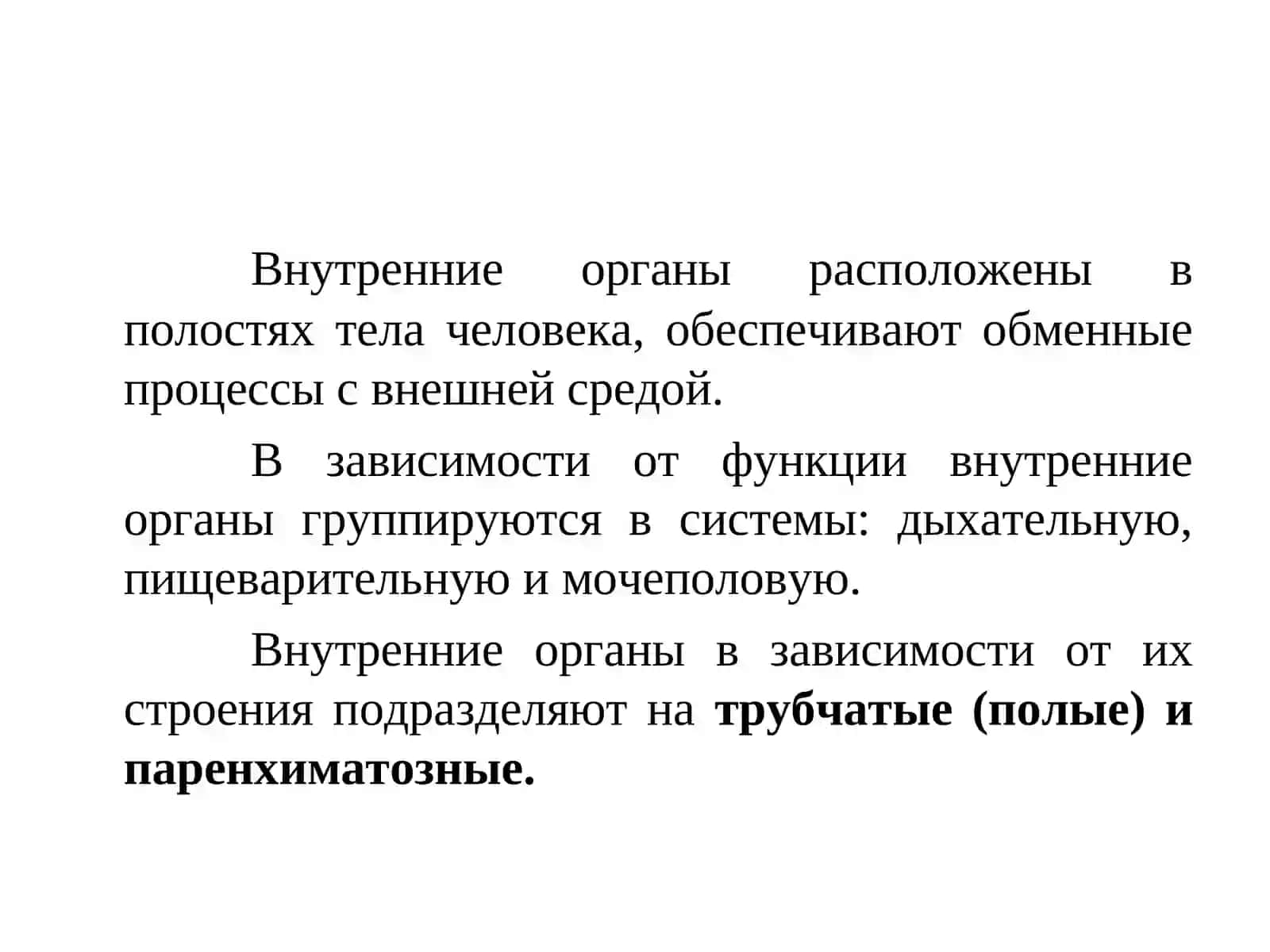 Обзор анатомии дыхательной системы 3
