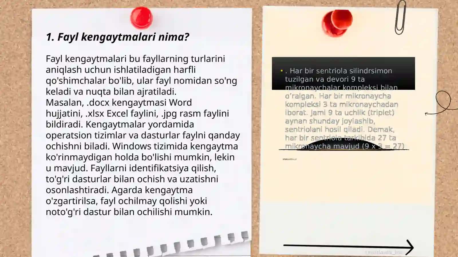 Fayl kengaytmalari va uning ahamiyati 3