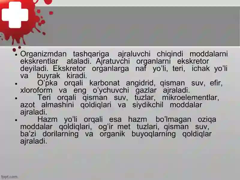 Ayruvsistasi 3