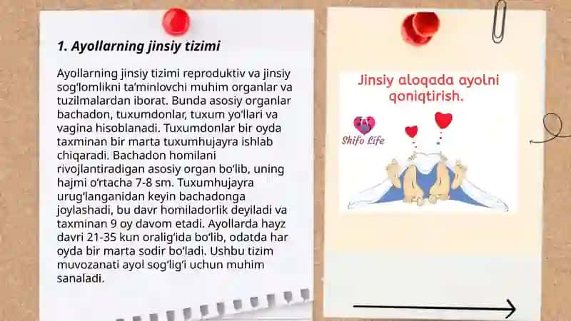 Ayollarning ichki jinsiy aʼzolari 3