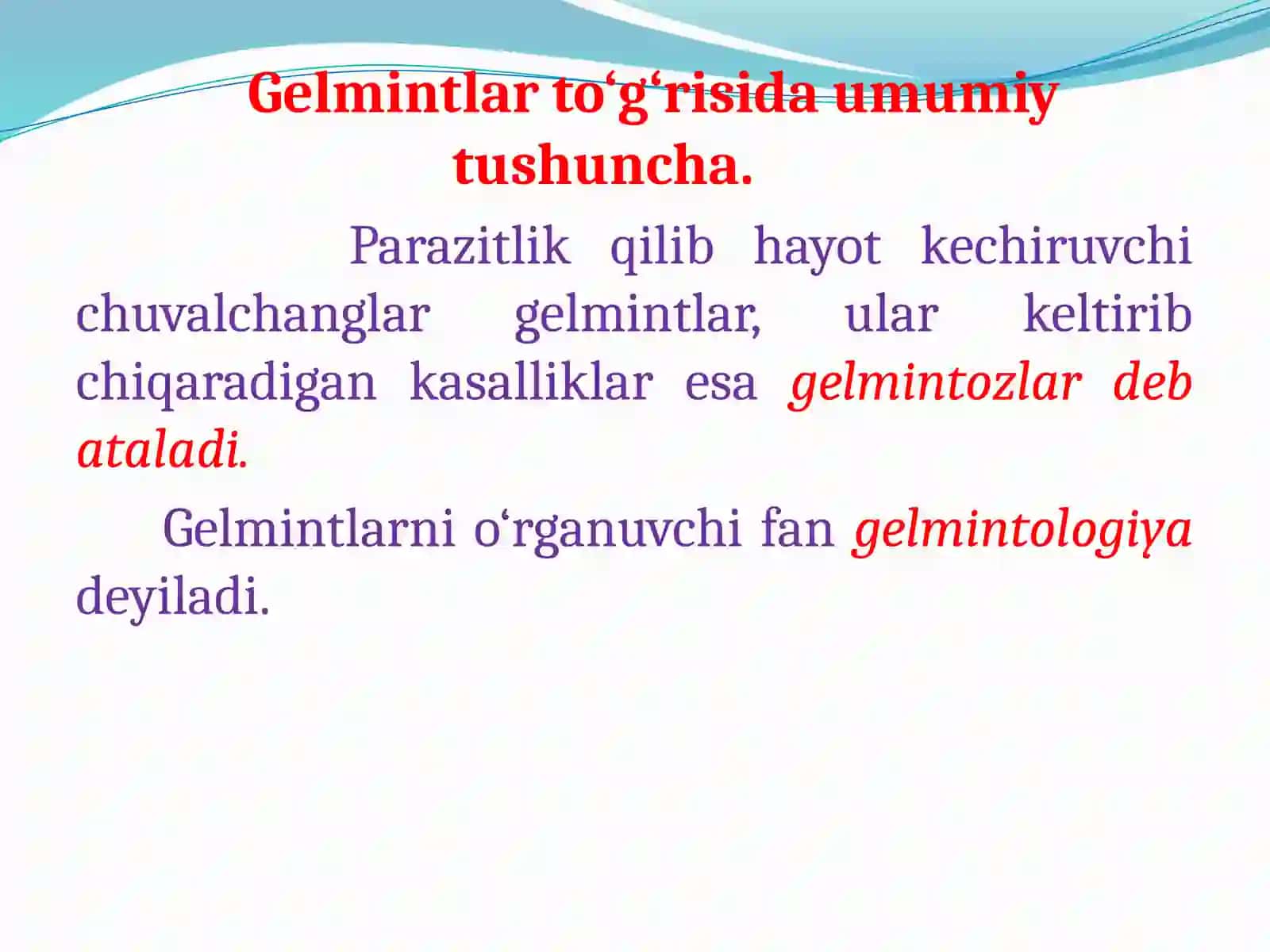 Yassi chuvalchanglar (Plathelminthes) tipi 3