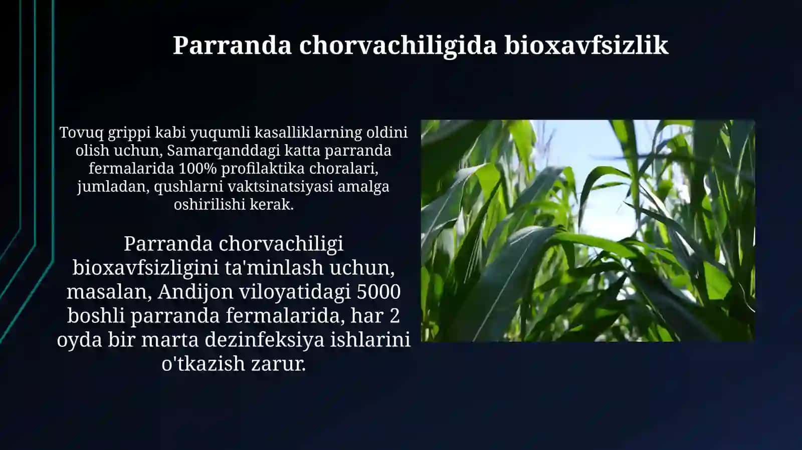 Dexqonchilik va uning iqtisodiy ahamiyati 3