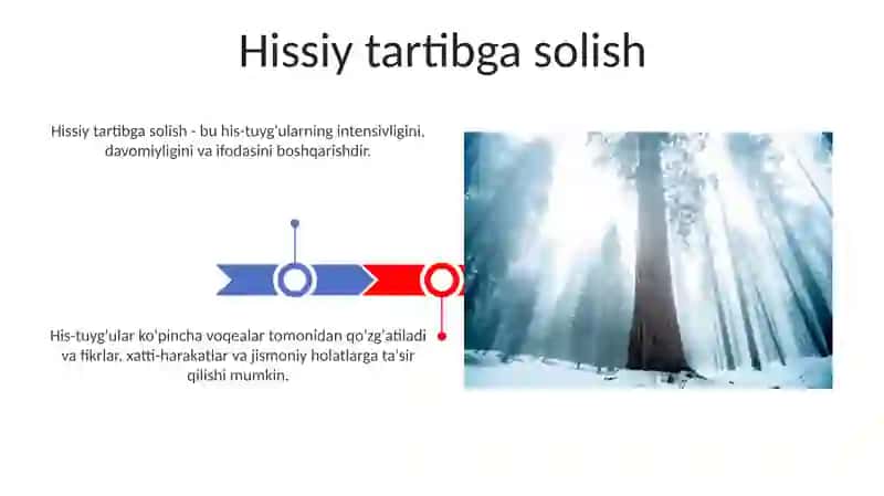 His-tuyg'ularning Biologik Asoslari 3