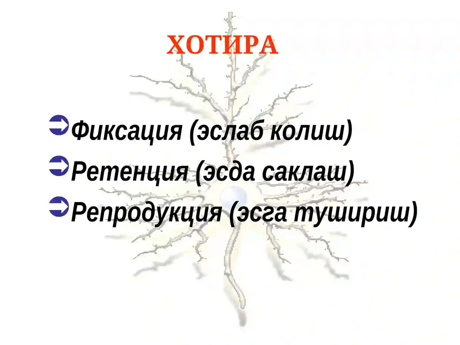 Психиатрия 3